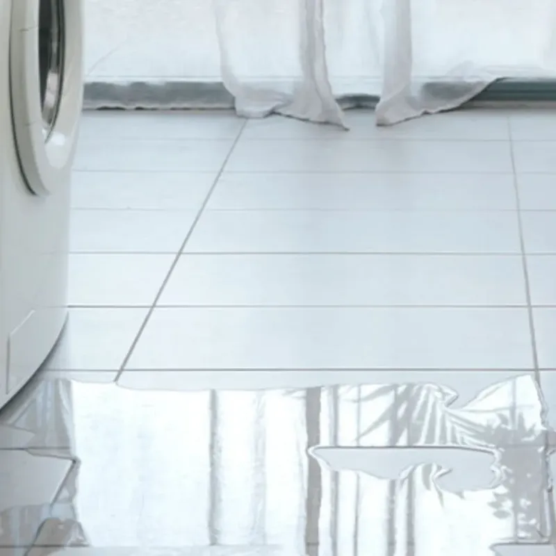 Appliance Leak Cleanup in Hampton, SC