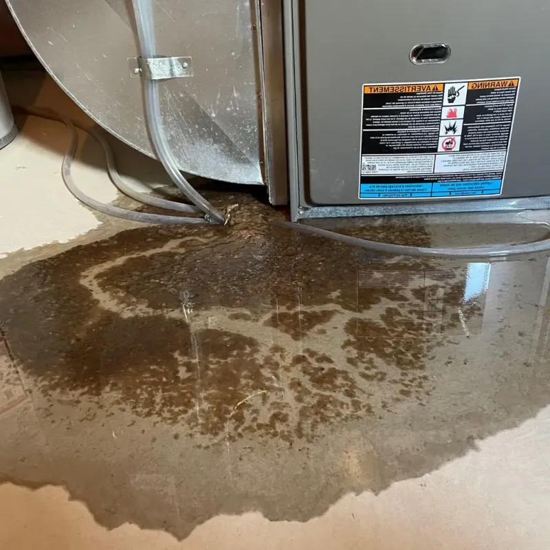 Pipe Burst and Leak Restoration in Hampton, SC