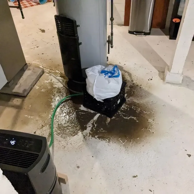 Sewage Backup Cleanup Service in Hampton, SC